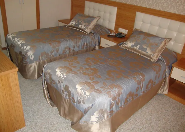 Ilksan Deha ホテル 5*