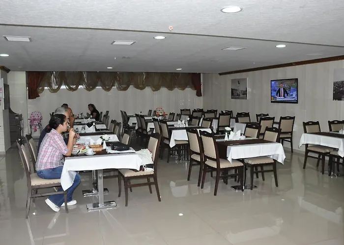 ホテル Ilksan Deha 5*